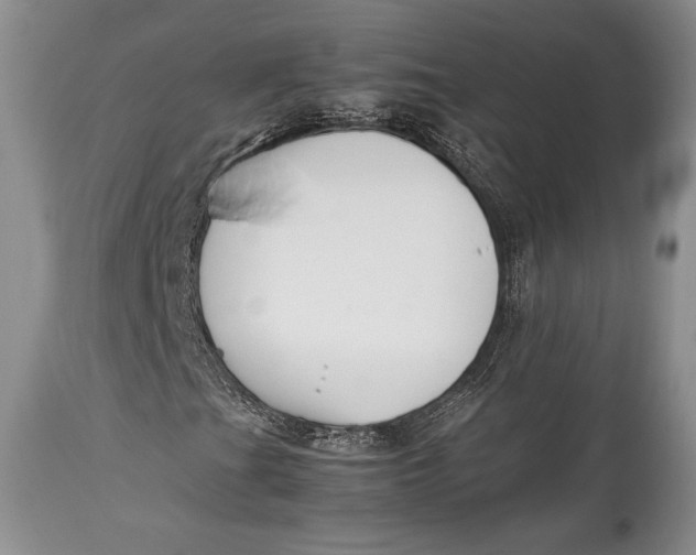 X0000113991201200910231722