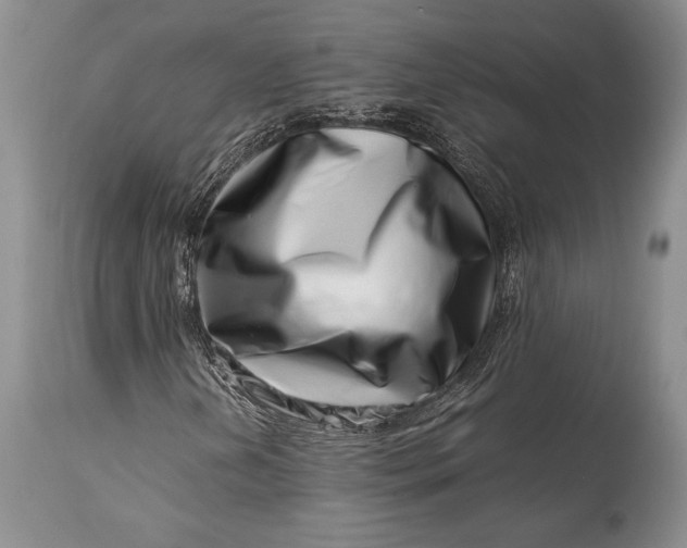 X0000113991202200910231722