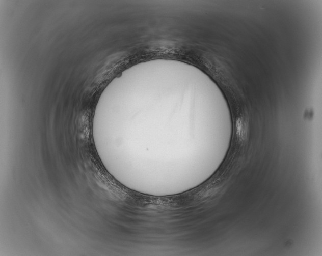 X0000113991203200910231722