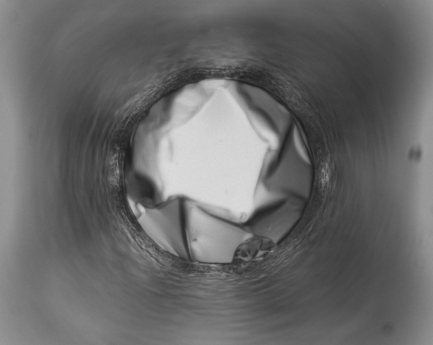 X0000113991204200910231722