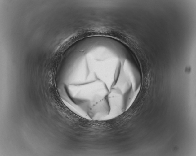 X0000113991205200910231722