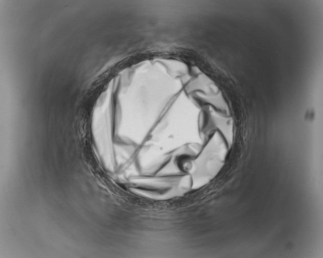 X0000113991206200910231722