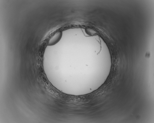 X0000113991207200910231722