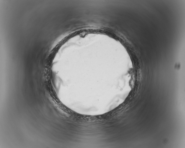 X0000113991208200910231722