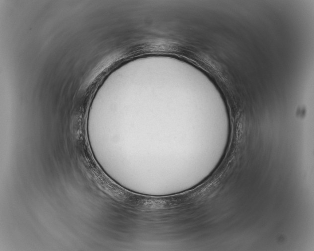 X0000113991211200910231722