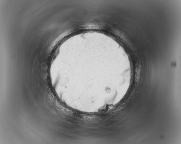 X0000113991213200910231722