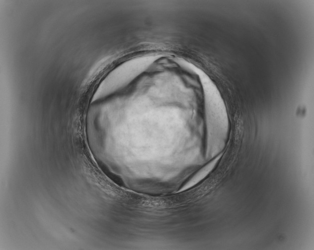 X0000113991215200910231722