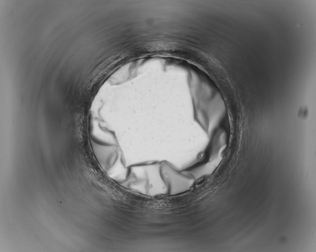 X0000113991217200910231722