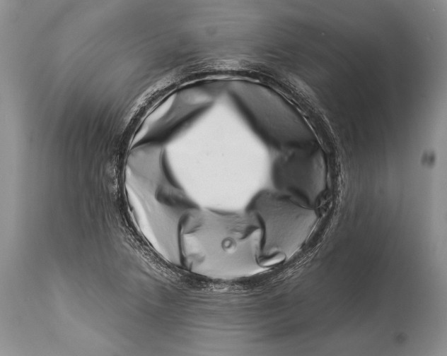 X0000113991218200910231722