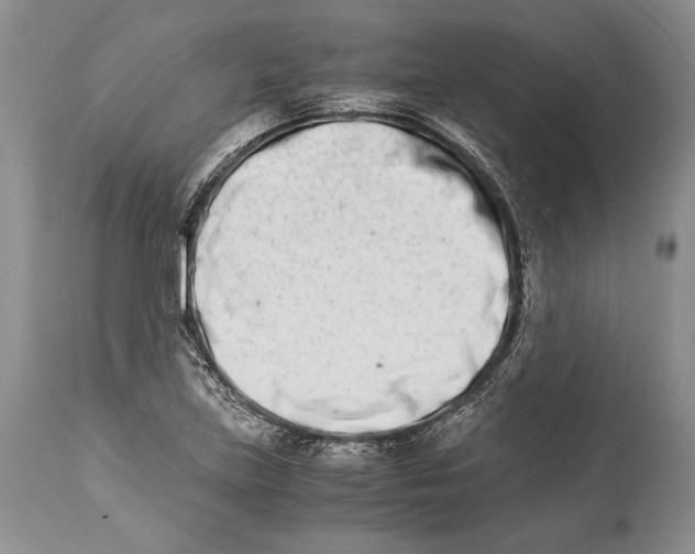 X0000113991219200910231722