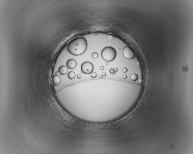 X0000113991220200910231722