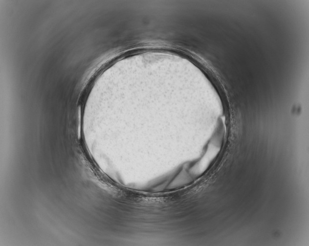 X0000113991223200910231722