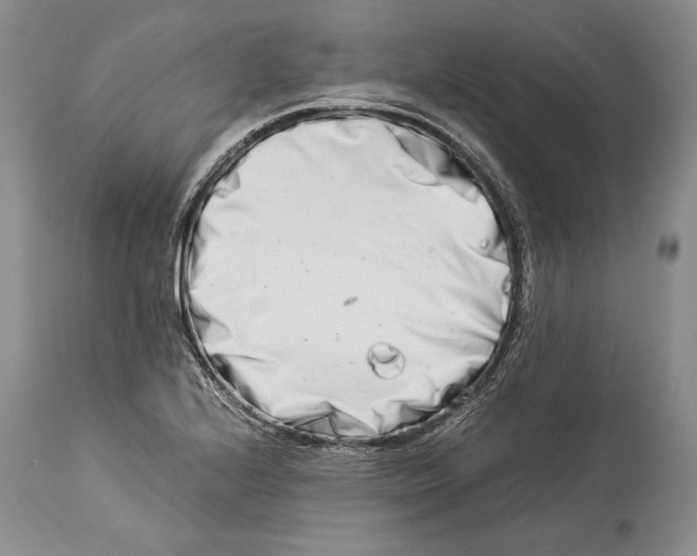 X0000113991224200910231722