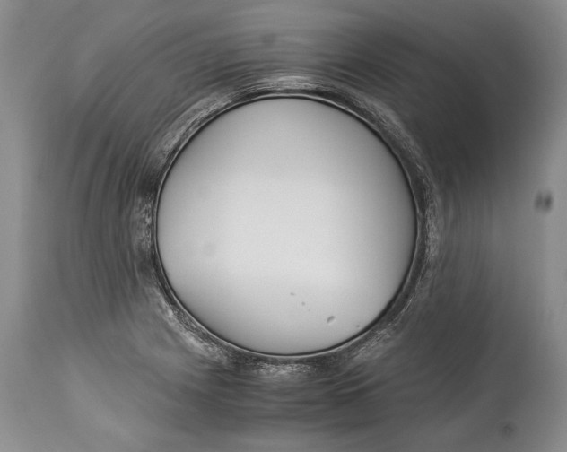 X0000113991225200910231722