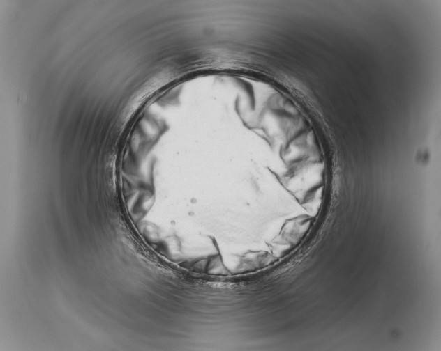 X0000113991226200910231722