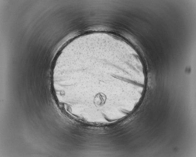 X0000113991229200910231722