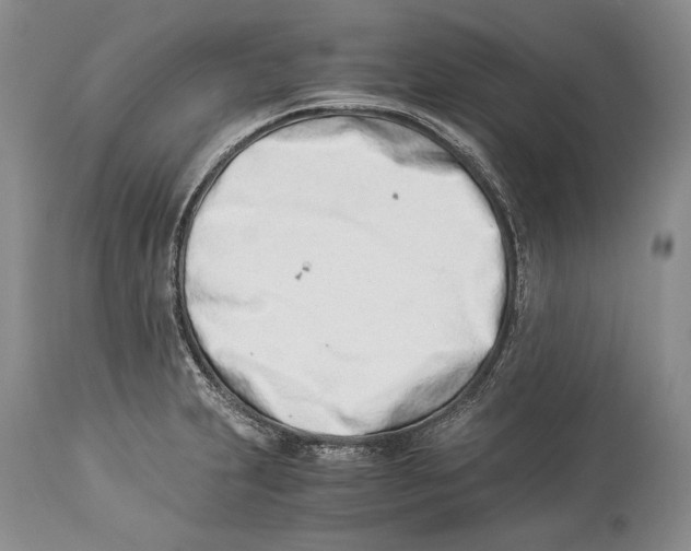 X0000113991231200910231722