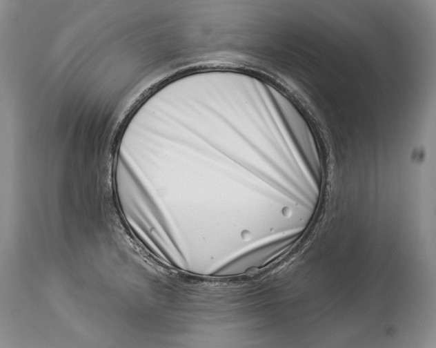 X0000113991232200910231722