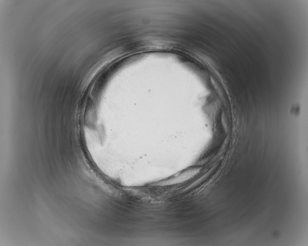 X0000113991235200910231722