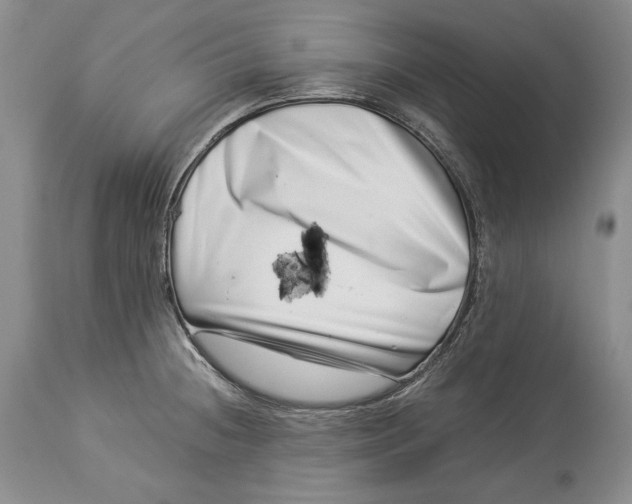 X0000113991236200910231723