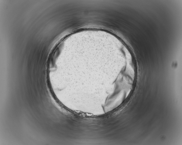 X0000113991237200910231723