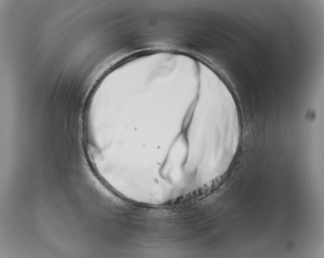 X0000113991239200910231723