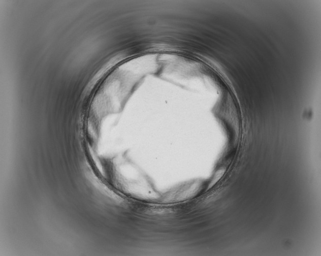 X0000113991243200910231723