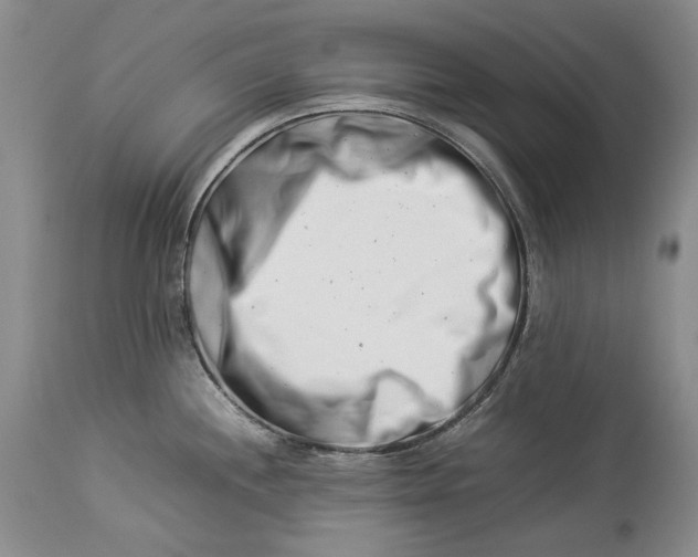 X0000113991244200910231723