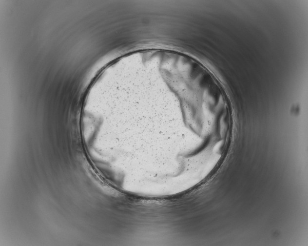 X0000113991246200910231723