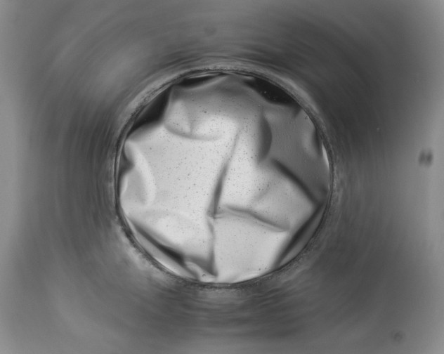 X0000113991247200910231723