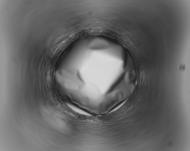 X0000113991250200910231722