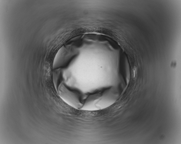 X0000113991251200910231722