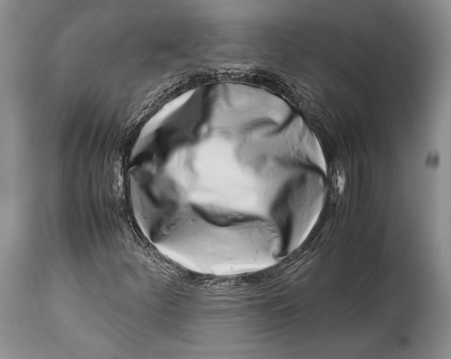 X0000113991252200910231722