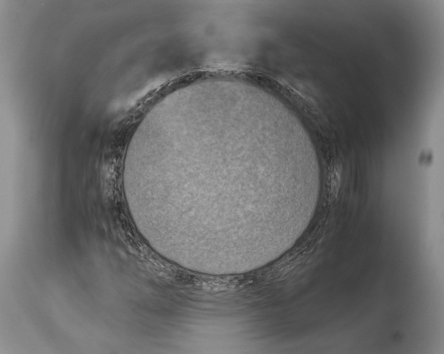 X0000113991254200910231722