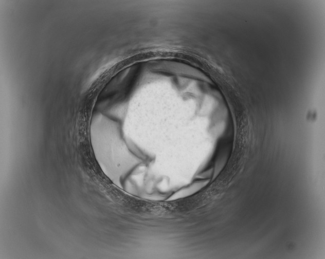 X0000113991255200910231722