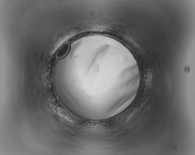 X0000113991256200910231722