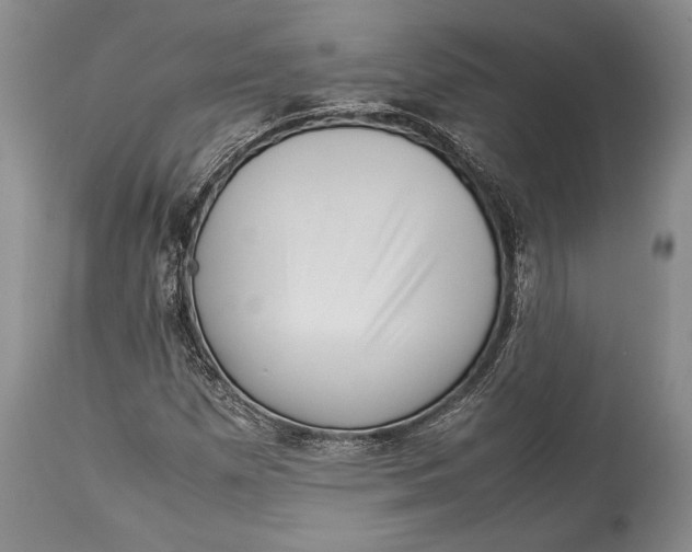 X0000113991257200910231722