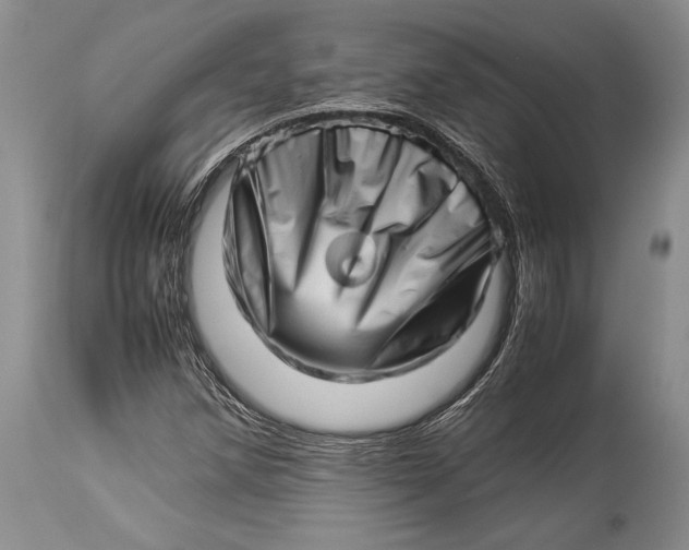 X0000113991258200910231722