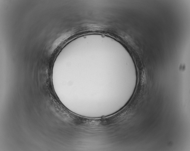 X0000113991261200910231722