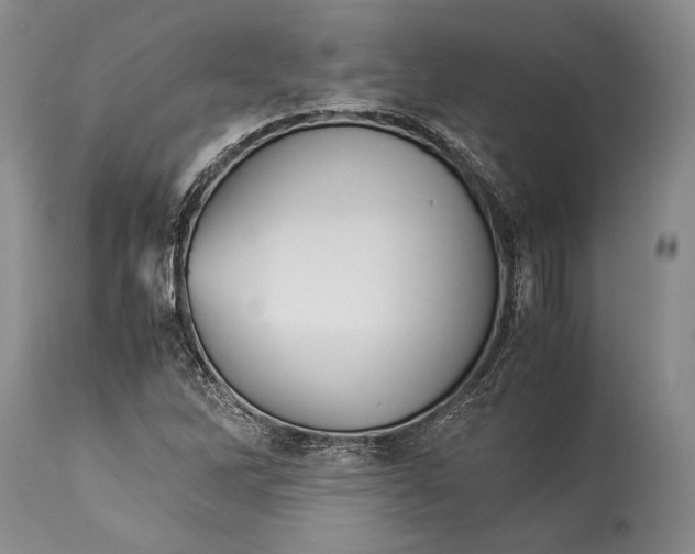 X0000113991262200910231722