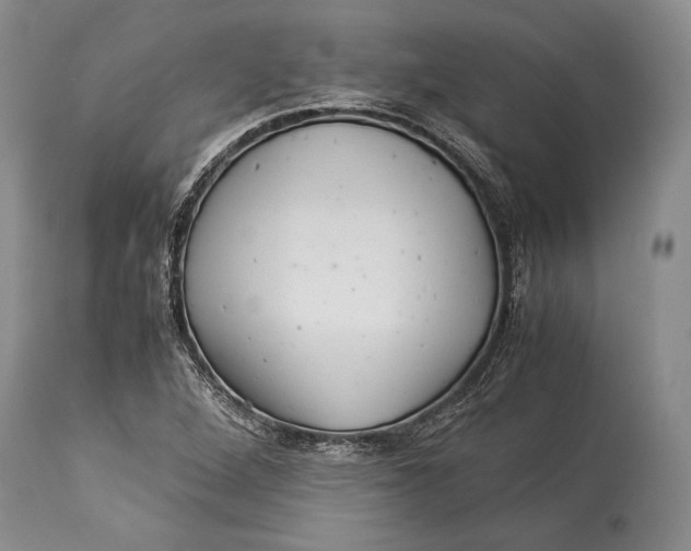 X0000113991264200910231722