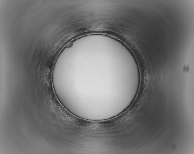 X0000113991265200910231722