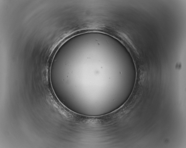 X0000113991268200910231722