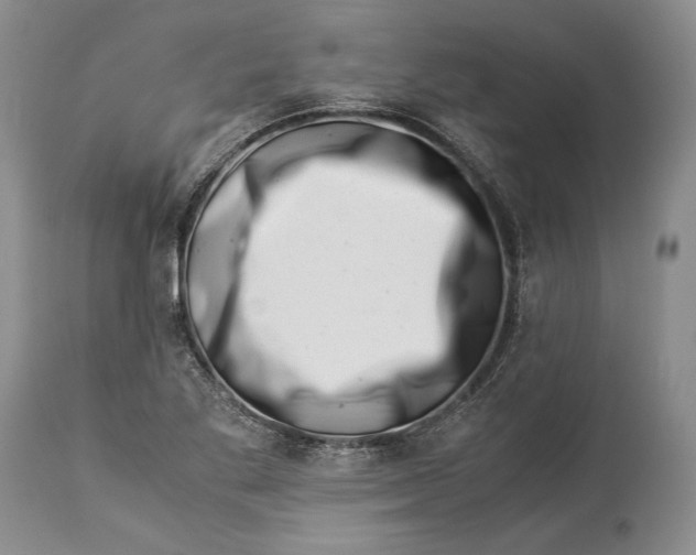 X0000113991269200910231722