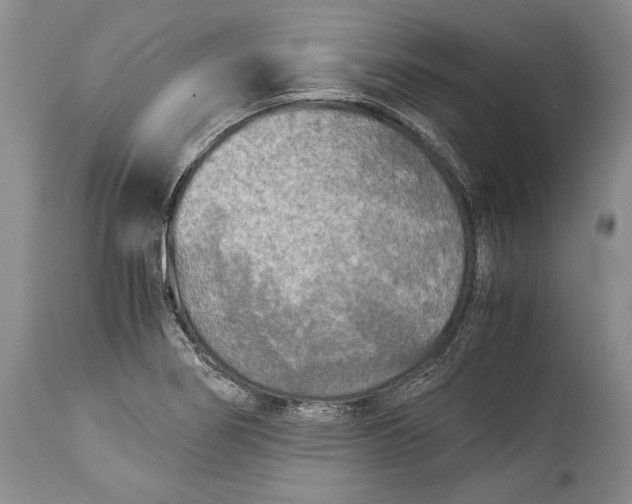 X0000113991274200910231722