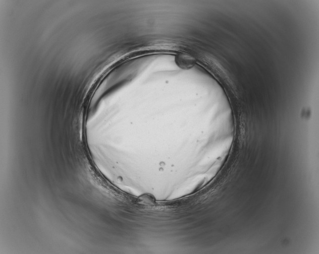 X0000113991276200910231722