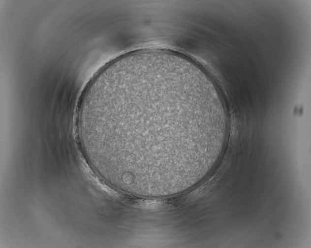 X0000113991278200910231722