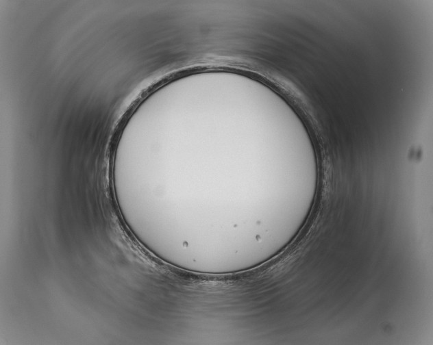 X0000113991280200910231722