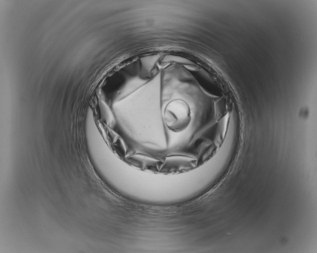 X0000113991281200910231722