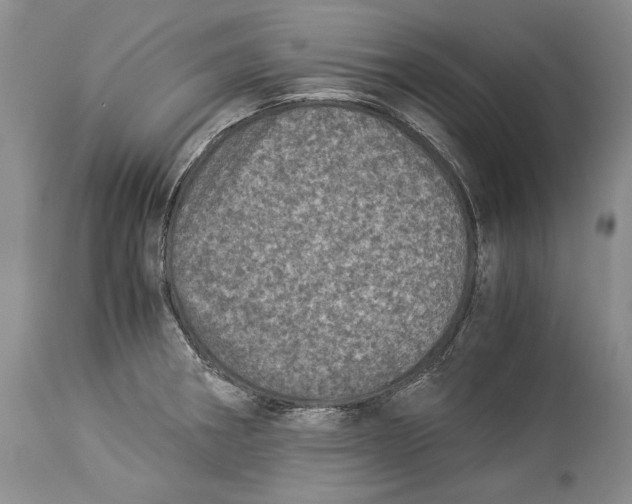 X0000113991282200910231722